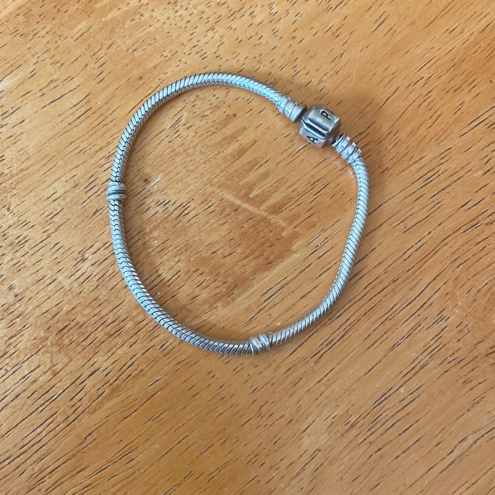 Pandora charm bracelet